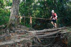 BIB: 
                            <button type="button" onclick="openModal(27754786)" class="btn btn-primary btn-sm float-right btn-popup" data-toggle="modal" data-target=".modal-high-quality">
                        <i class="fas fa-shopping-cart"></i> Add to Cart
                    </button>
                                            <button type="button" onclick="isThisMe(27754786, true)" class="btn btn-success btn-sm float-right btn-popup btn-isme hidden" data-toggle="tooltip" data-placement="bottom" title="นี่คือรูปของคุณใช่ไหม คลิกที่นี่เพื่อเอาเข้าอัลบั้ม">
                        <i class="fas fa-plus"></i> Add to album
                    </button>
                    <button type="button" onclick="isThisMe(27754786, false)" class="btn btn-warning btn-sm float-right btn-popup btn-isnotme hidden">
                        <i class="fas fa-ban"></i> Remove from album
                    </button>